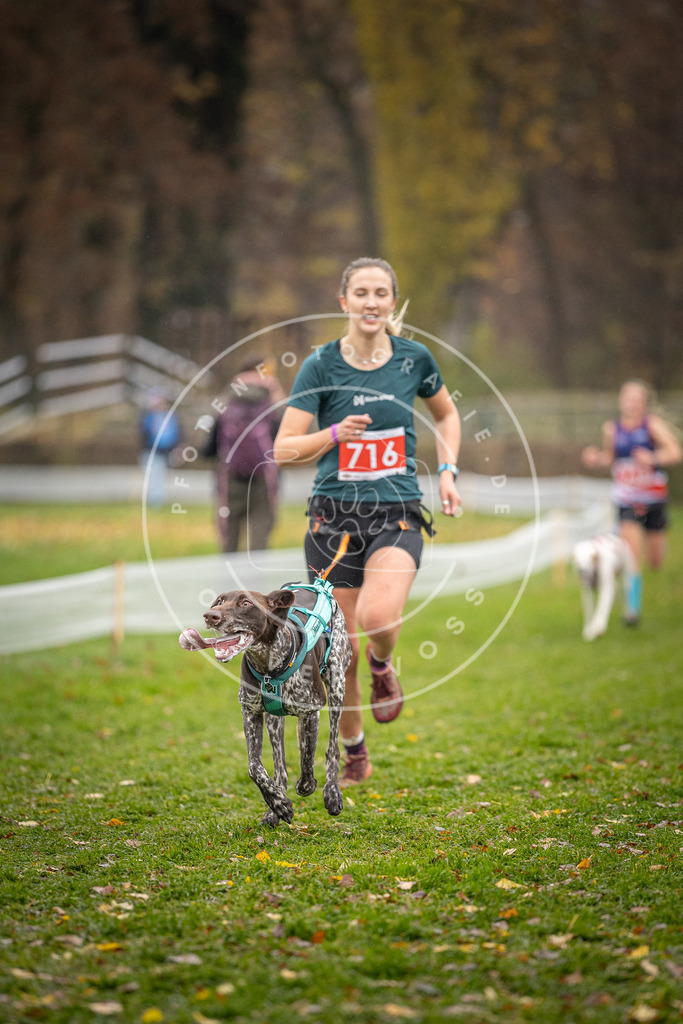 CaniXpix_DV3A9125 | Hundefotografie, Tierfotograf, Pfotenfotografie, Fotoshooting Hund, Hunde Portrait, Hundesport, Hundeportraits, Heideshooting, Hunde, Sportfotograf, Hundefotograf, Turnierhundsport, THS,  - Realisiert mit Pictrs.com