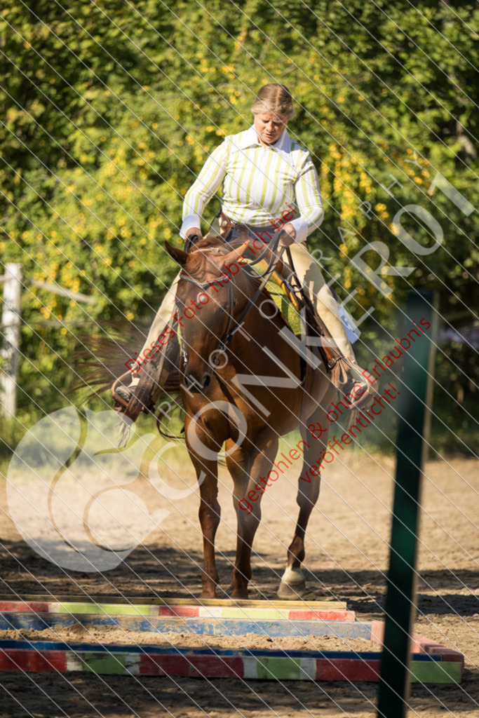 IMG_7068 | Sport-, Event- und Tierfotos in Profiqualität. Einfach auswählen, bestellen und herunterladen. Dein Moment – perfekt festgehalten.