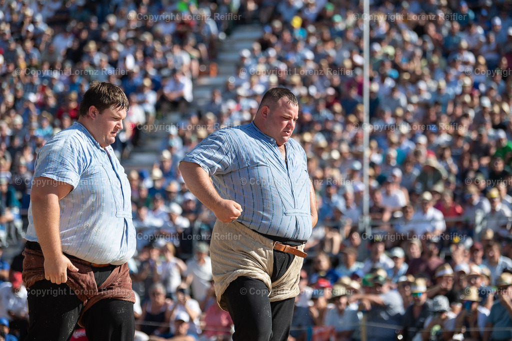 Schwingen -  Schwägalpschwinget 2023 | Schwägalp, 20.8.23, Schwingen - Schwägalpschwinget.