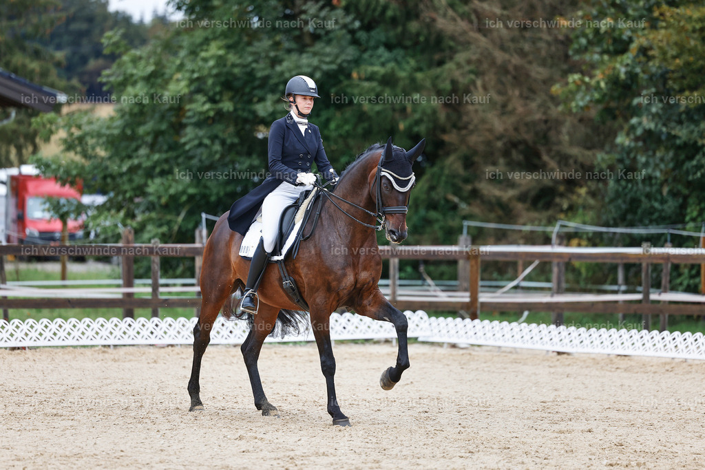 8_2-088-DRESSUR S_  -StoibPH-4433 | working equitationturnier fotograf videograf stoibphotography marixx film working equitation deutschland reitsport turnierfotografie eventfotografie equestrian events