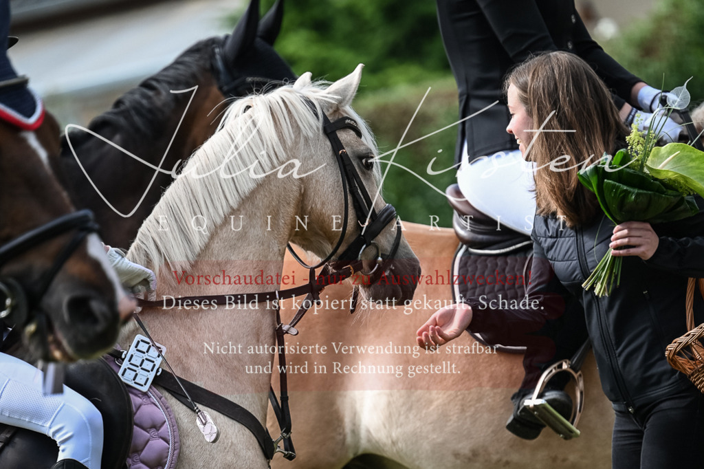DSC_8682 | Pferde- und Turnierfotografie in Westsachsen. Pferdeportraits, Auftragszeichnungen und intuitive Kunst.