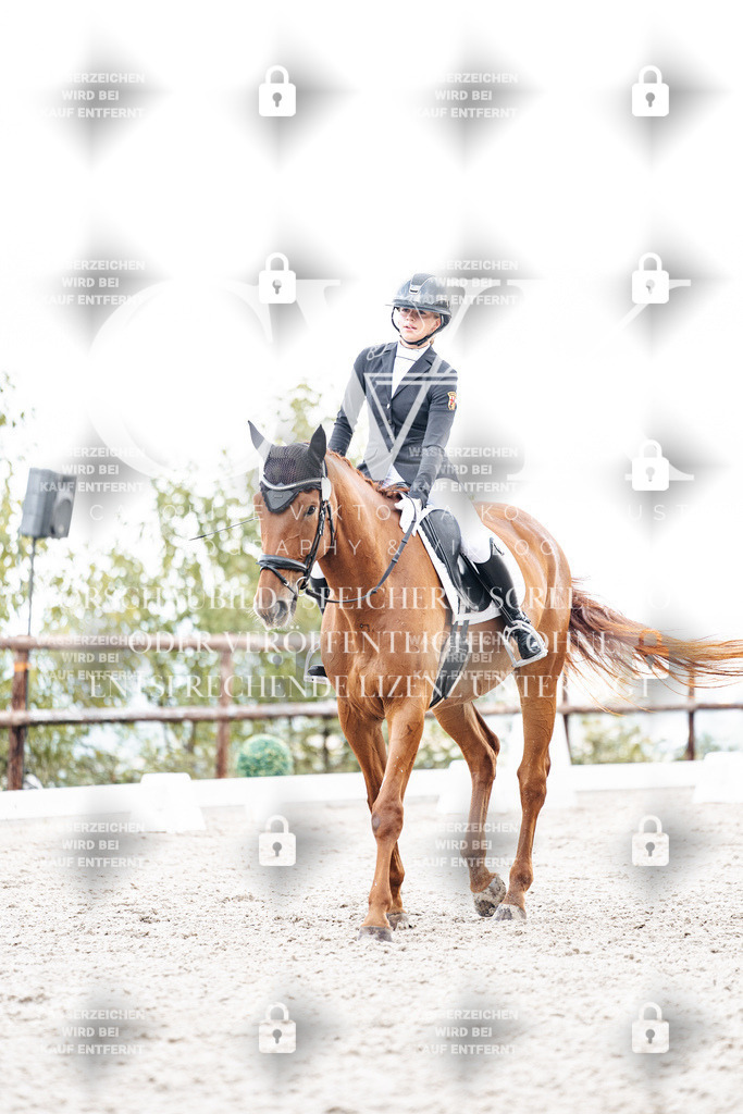 CK900733 | Turnierfotografie Pferdefotografie Trier Rheinland-Pfalz Pferdesport Reitsport Tierfotografie Sportfotografie Pferdevideo Pferdevideografie Equestrianvideography equestrianphotography  - Realisiert mit Pictrs.com