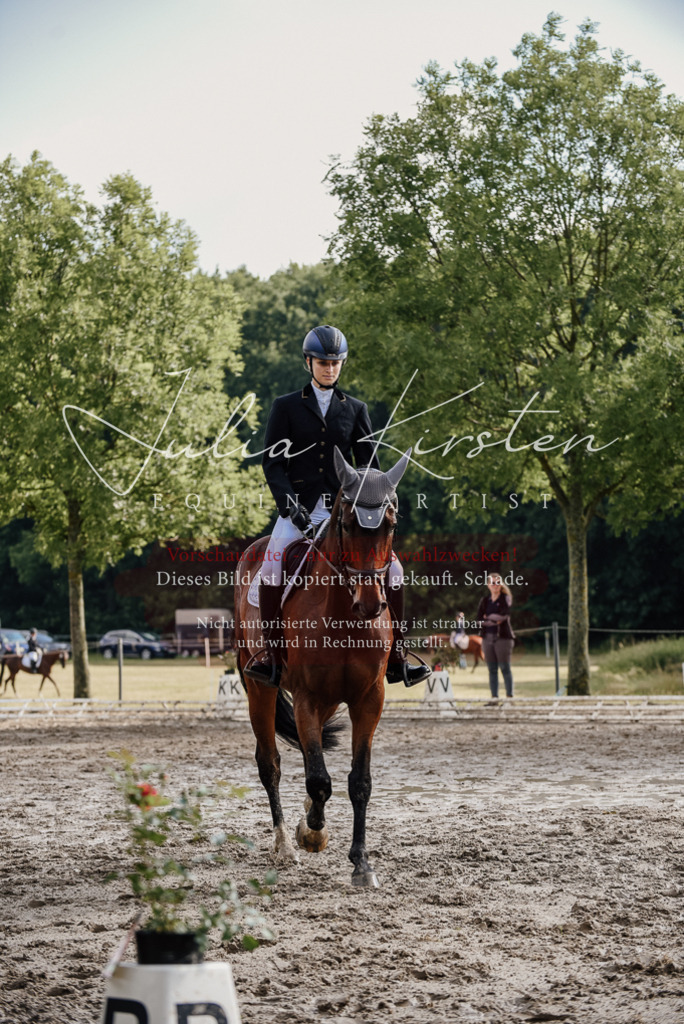 DSC_9025 | Pferde- und Turnierfotografie in Westsachsen. Pferdeportraits, Auftragszeichnungen und intuitive Kunst.