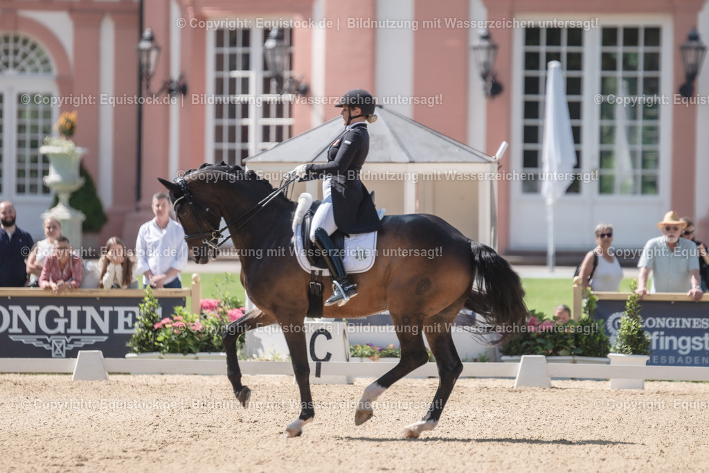 20230528_03_GP-Special-Tour_0036 | equistock