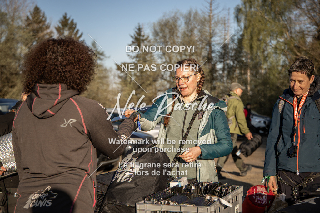 NR__0276-2 | nelerasche