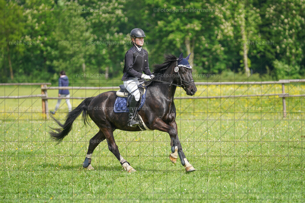20240509-FAH02242 | Turnierbilder der Turnierfotografen Bayern, Pferdesport Fotografie, Reitsportbilder, Turnier Landberg am Lech, Turnierbilder bayern, Fotoagentur Herrmann