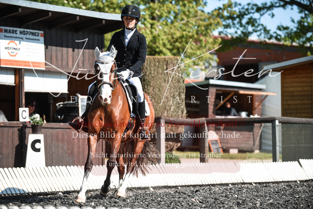 DSC_8713 | Pferde- und Turnierfotografie in Westsachsen. Pferdeportraits, Auftragszeichnungen und intuitive Kunst.