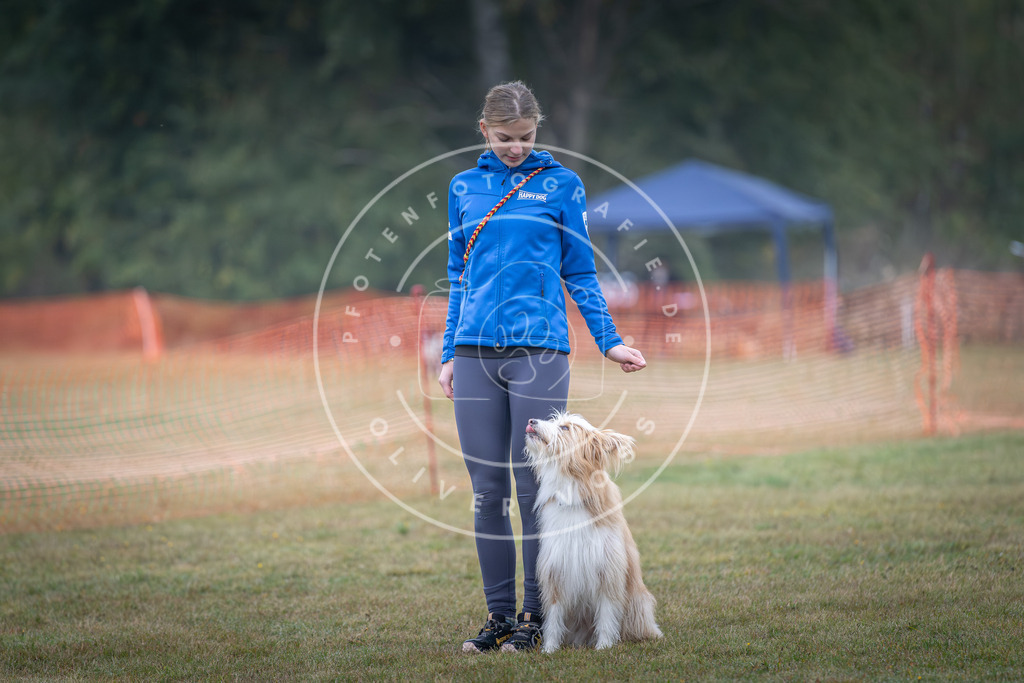 Pfotenfotografie_DV3A8721 | Hundefotografie, Tierfotograf, Pfotenfotografie, Fotoshooting Hund, Hunde Portrait, Hundesport, Hundeportraits, Heideshooting, Hunde, Sportfotograf, Hundefotograf, Turnierhundsport, THS,  - Realisiert mit Pictrs.com