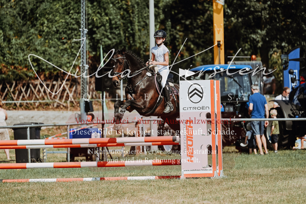 DSC_9833 | Pferde- und Turnierfotografie in Westsachsen. Pferdeportraits, Auftragszeichnungen und intuitive Kunst.