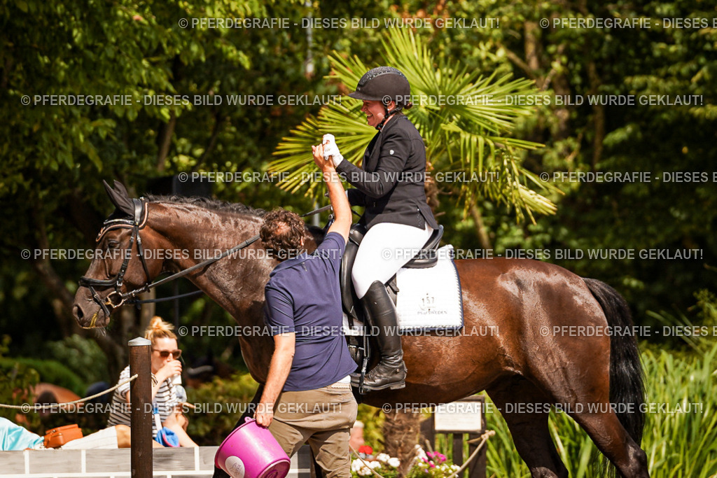 DSC01606 | Pferdegrafie