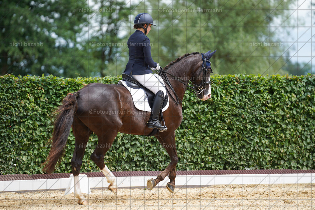 20240630-FAH02183 | Turnierbilder Schwabmünchen, Dressurbilder, Springreitturnier, Reitsportbilder, Turnierfotografen Bayern, Turnierfotograf