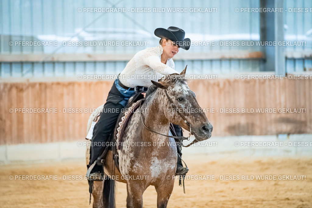 DSC00337 | Pferdegrafie