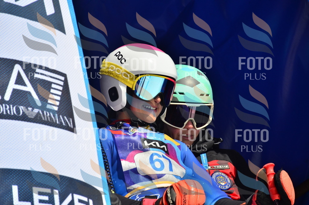 _ELE0291 | holidayphoto