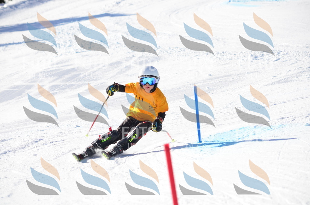 C6282 | holidayphoto