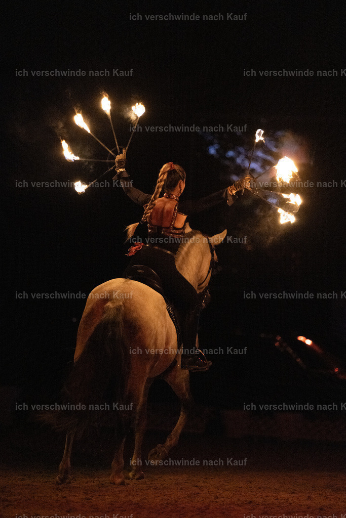 FHClassics-370 | working equitationturnier fotograf videograf stoibphotography marixx film working equitation deutschland reitsport turnierfotografie eventfotografie equestrian events