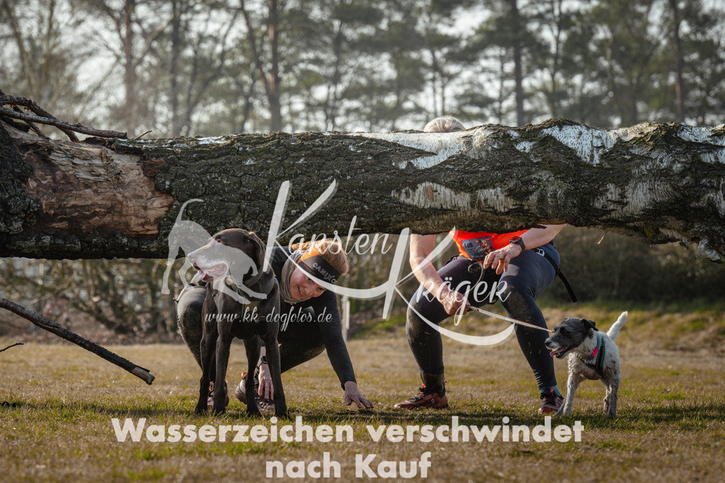 0949_ZZ90167 | kk-dogfotos