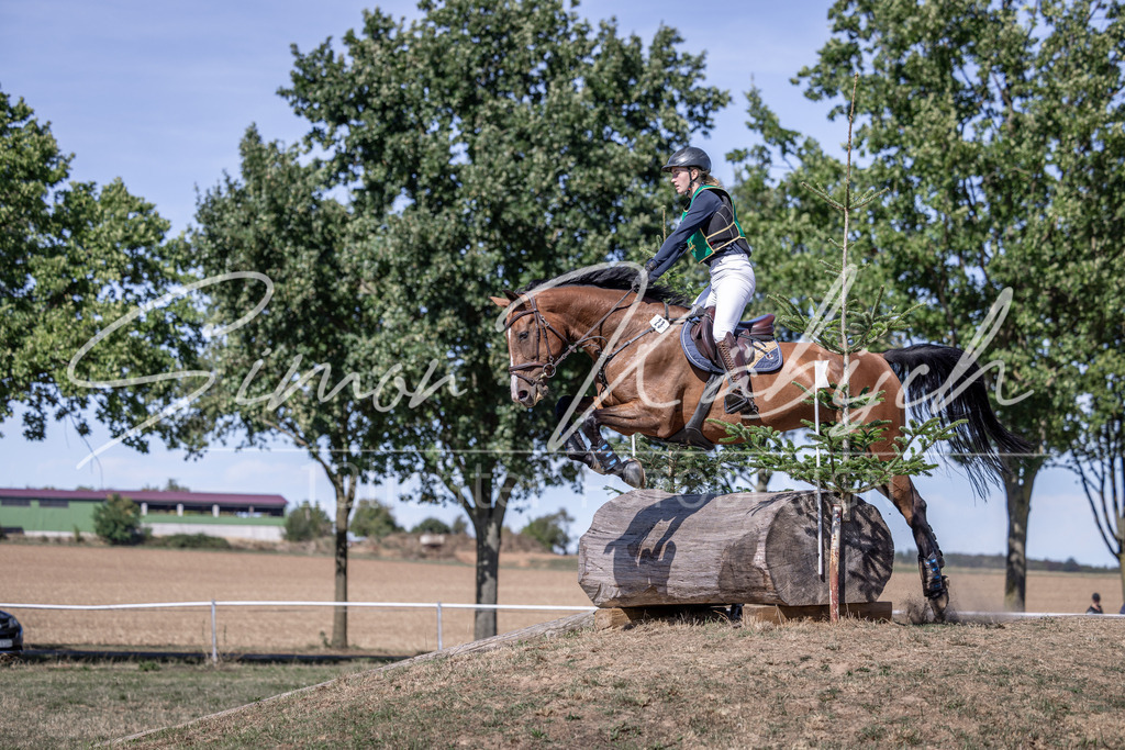 20260906-_3LI5159 | Tierfotografie Pferde, Hunde, Katzen, Haustiere.
Turnierfotografie Reitturniere, Reiten, Springreiten, Dressur in Hanau, dem Main-Kinzig-Kreis und dem Rhein-Main- Gebiet um Frankfurt