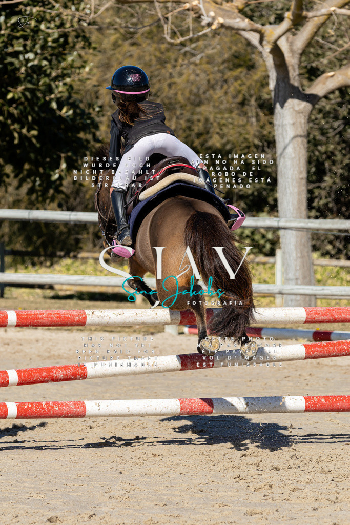 IMG_9192 | s-jay-photography - Realisiert mit Pictrs.com