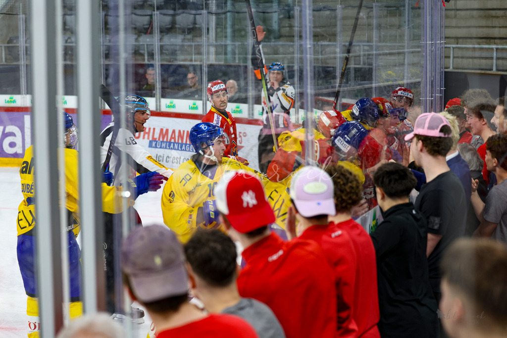 U21_EHCB vs HCD_wb20260308-0664 | Sportbilder, Sportfotograf, Hochzeits- und Eventfotografin, Flugshows, Portraits und Tiershooting, Aviation, Downhill, Nationalleague, Swissleague, International