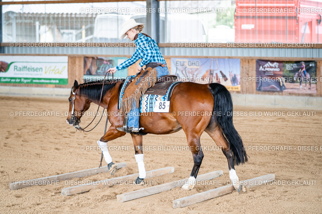 DSC08168 | Pferdegrafie