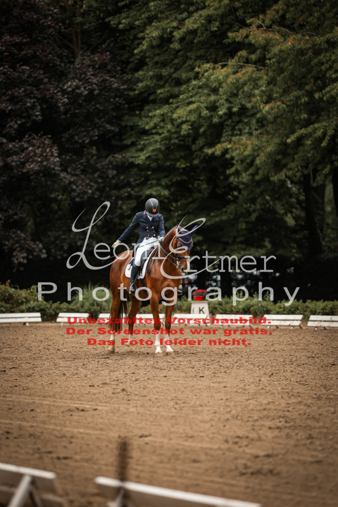 12.SaDrRS00340 | Leoni Ertmer Photography - Realisiert mit Pictrs.com