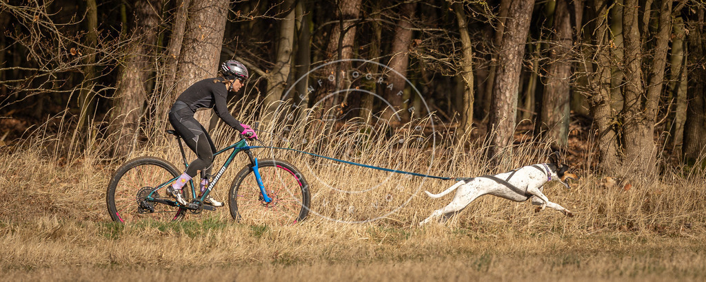 DV3A4275 | Hundefotografie, Tierfotograf, Pfotenfotografie, Fotoshooting Hund, Hunde Portrait, Hundesport, Hundeportraits, Heideshooting, Hunde, Sportfotograf, Hundefotograf, Turnierhundsport, THS,  - Realisiert mit Pictrs.com