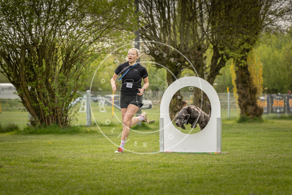 Pfotenfotografie_DV3A6775 | Hundefotografie, Tierfotograf, Pfotenfotografie, Fotoshooting Hund, Hunde Portrait, Hundesport, Hundeportraits, Heideshooting, Hunde, Sportfotograf, Hundefotograf, Turnierhundsport, THS,  - Realisiert mit Pictrs.com