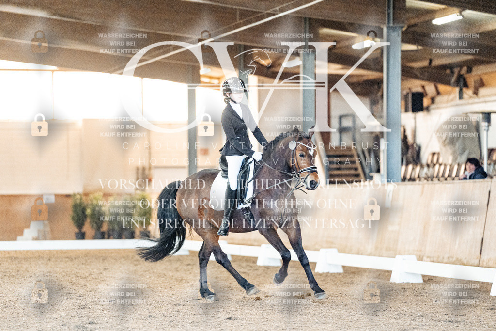 CK906605 | Turnierfotografie Pferdefotografie Trier Rheinland-Pfalz Pferdesport Reitsport Tierfotografie Sportfotografie Pferdevideo Pferdevideografie Equestrianvideography equestrianphotography  - Realized with Pictrs.com