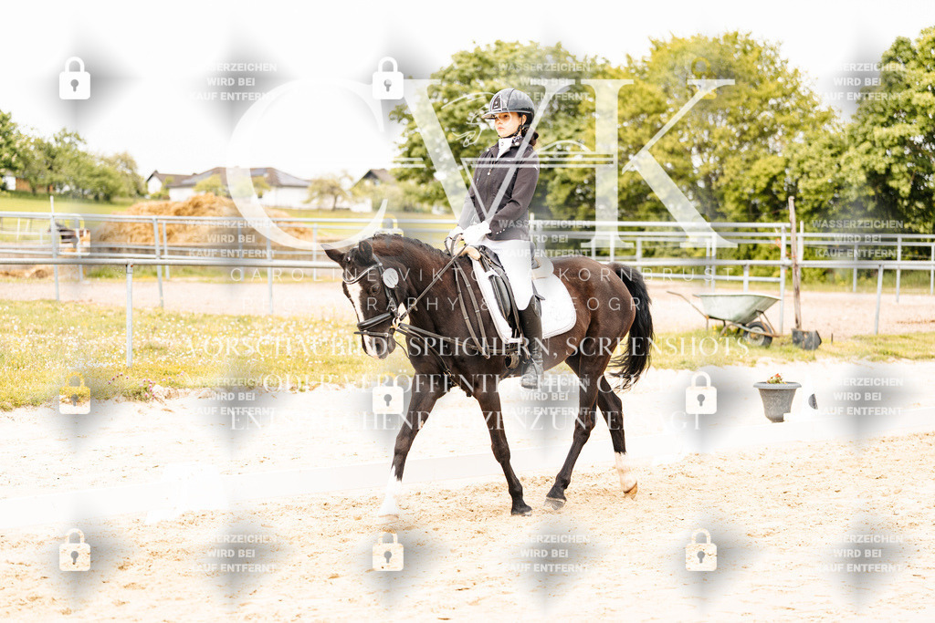 CK904198 | Turnierfotografie Pferdefotografie Trier Rheinland-Pfalz Pferdesport Reitsport Tierfotografie Sportfotografie Pferdevideo Pferdevideografie Equestrianvideography equestrianphotography  - Realisiert mit Pictrs.com