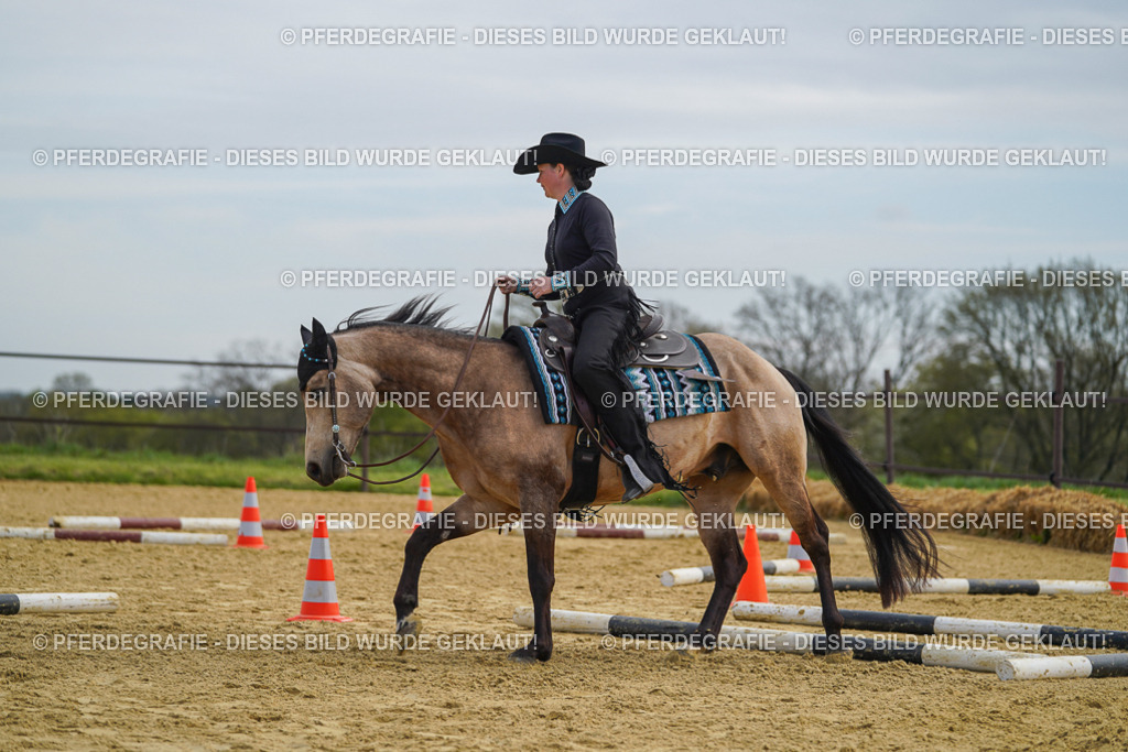 DSC03833 | Pferdegrafie