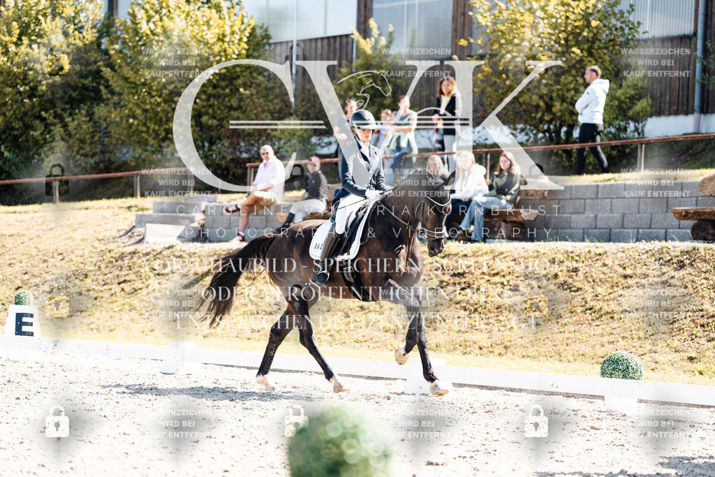 CK903463 | Turnierfotografie Pferdefotografie Trier Rheinland-Pfalz Pferdesport Reitsport Tierfotografie Sportfotografie Pferdevideo Pferdevideografie Equestrianvideography equestrianphotography  - Realisiert mit Pictrs.com