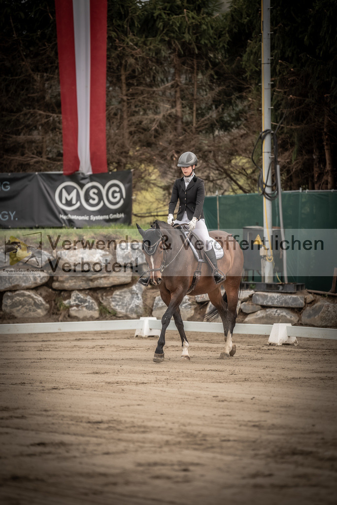 DSC_8171 | equestrian-live-com