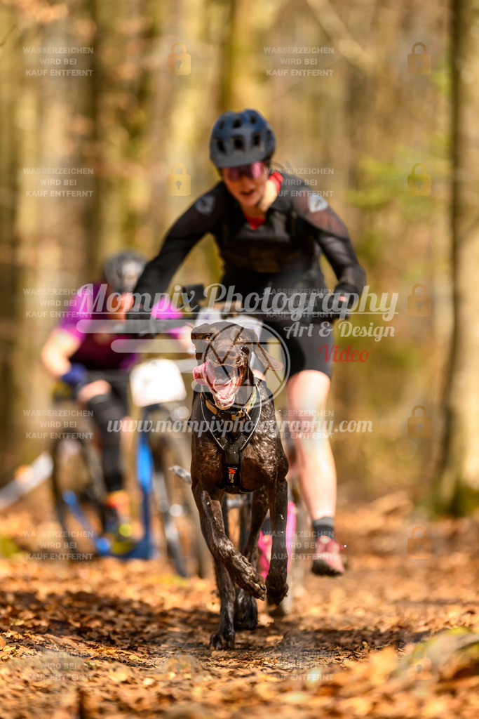 MompixPhotography_Habay2025_SA_SCO-11 | PayLife