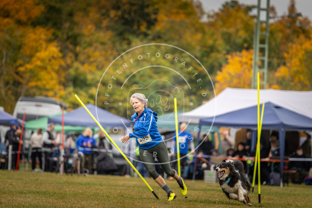 Pfotenfotografie_DV3A2096 | Hundefotografie, Tierfotograf, Pfotenfotografie, Fotoshooting Hund, Hunde Portrait, Hundesport, Hundeportraits, Heideshooting, Hunde, Sportfotograf, Hundefotograf, Turnierhundsport, THS,  - Realisiert mit Pictrs.com