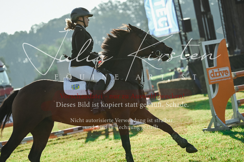 DSC_4287 | Pferde- und Turnierfotografie in Westsachsen. Pferdeportraits, Auftragszeichnungen und intuitive Kunst.