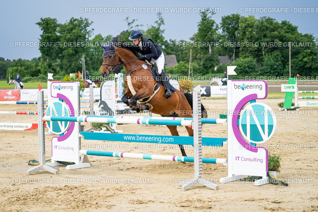 DSC03919 | Pferdegrafie