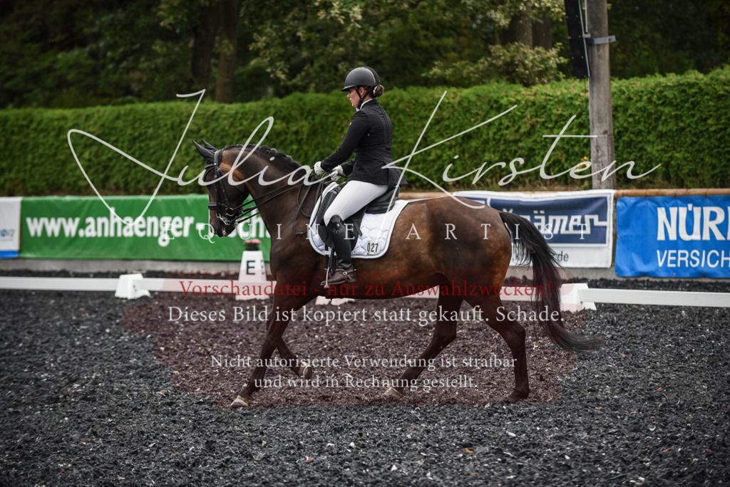 DSC_4907 | Pferde- und Turnierfotografie in Westsachsen. Pferdeportraits, Auftragszeichnungen und intuitive Kunst.