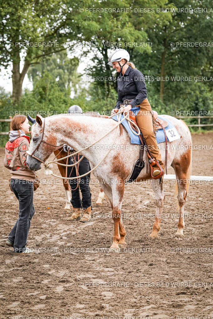 DSC04237 | Pferdegrafie