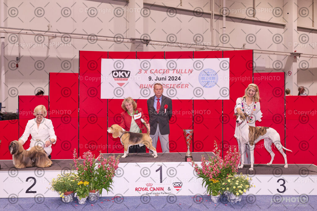 202406_ÖKV-IHA-Tulln24_NZ9_9586 | proPHOTO - Realisiert mit Pictrs.com