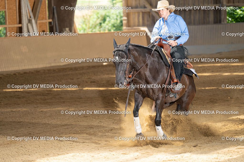 DSC00034 | dv-media-shop - Realisiert mit Pictrs.com