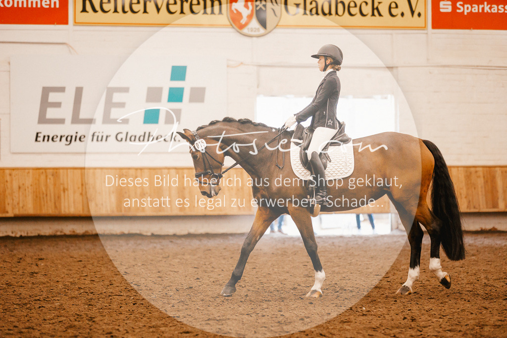 3I6A1824 | Stimmungsvolle Portraits und Reitsportfotografie im Ruhrgebiet und im Münsterland.

Pferdefotografie, Hundefotografie, Tierfotografie, Reportagen, Portraits von Tier und Mensch, Turnierfotografie in Bochum, Recklinghausen, Marl, Haltern am See, Dülmen.. - Realisiert mit Pictrs.com