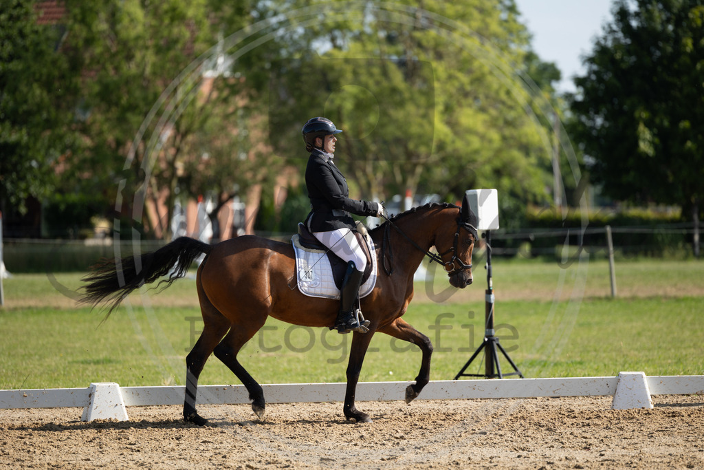 994A4379 | sabrinanicolaifotografie - Realisiert mit Pictrs.com