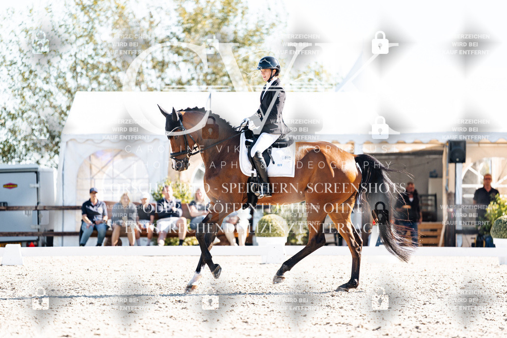 CK908638 | Turnierfotografie Pferdefotografie Trier Rheinland-Pfalz Pferdesport Reitsport Tierfotografie Sportfotografie Pferdevideo Pferdevideografie Equestrianvideography equestrianphotography  - Realisiert mit Pictrs.com