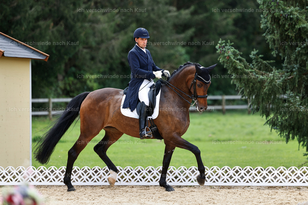 11-226-Dressur S___-StoibPH-1028 | working equitationturnier fotograf videograf stoibphotography marixx film working equitation deutschland reitsport turnierfotografie eventfotografie equestrian events