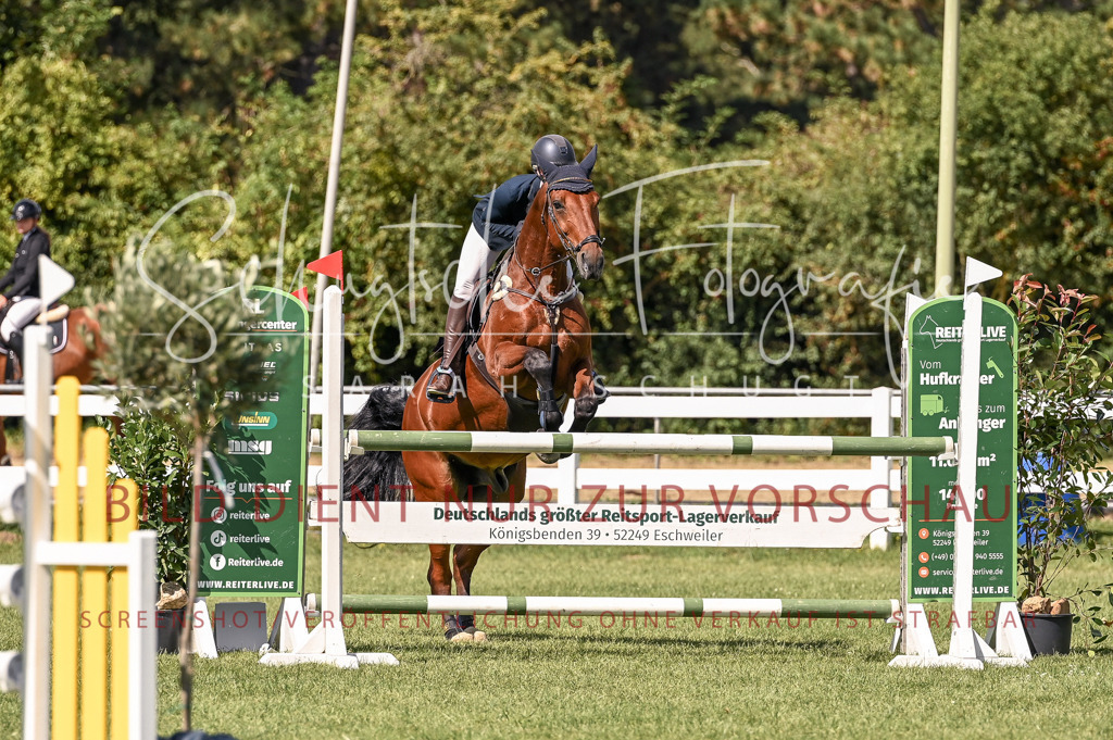 Schugtsche-Düren.2024-09.Springprf.L-141 | Schugtsche Fotografie - Realisiert mit Pictrs.com