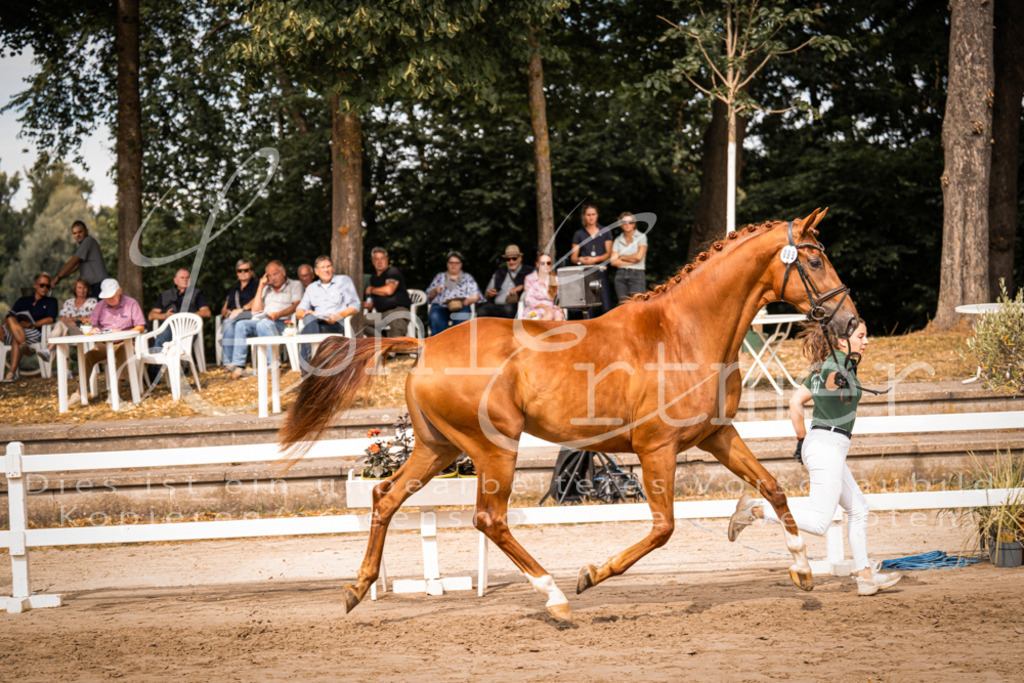 7.Fr00055 | Leoni Ertmer Photography - Realisiert mit Pictrs.com