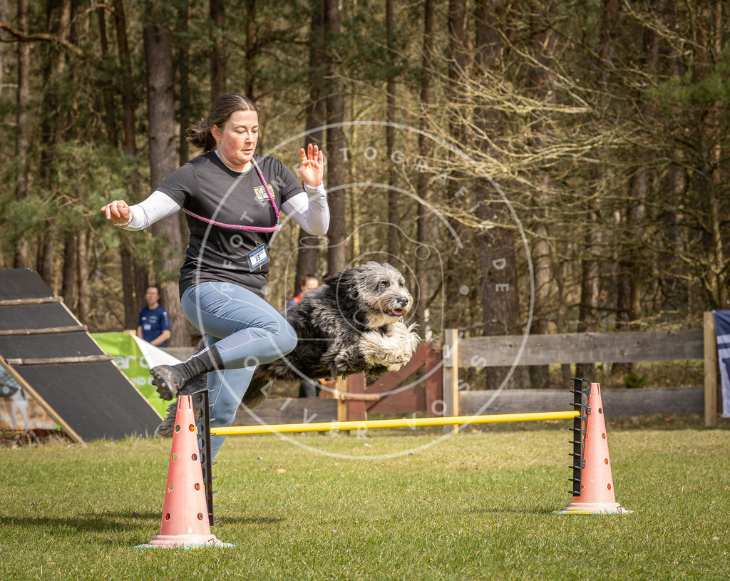 Pfotenfotografie_DV3A6358 | Hundefotografie, Tierfotograf, Pfotenfotografie, Fotoshooting Hund, Hunde Portrait, Hundesport, Hundeportraits, Heideshooting, Hunde, Sportfotograf, Hundefotograf, Turnierhundsport, THS,  - Realisiert mit Pictrs.com