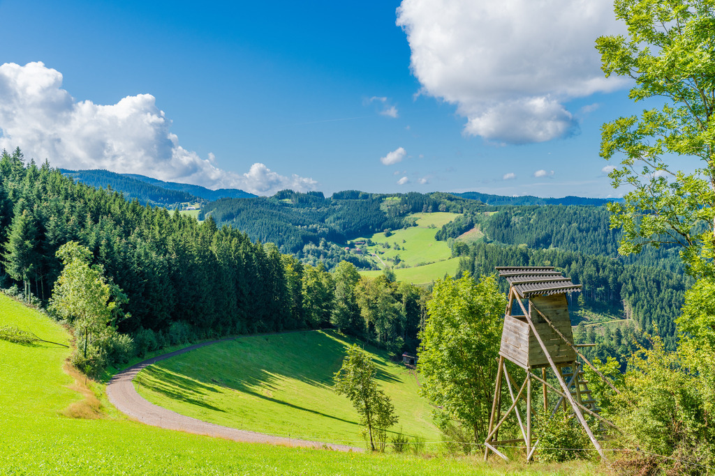 Jägersitz | Jägersitz mit blick ins Tal - Realisiert mit Pictrs.com
