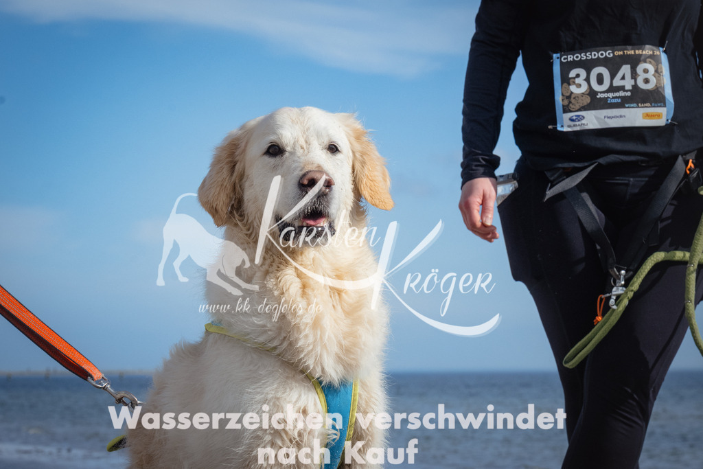 1316_ZZ91074 | kk-dogfotos