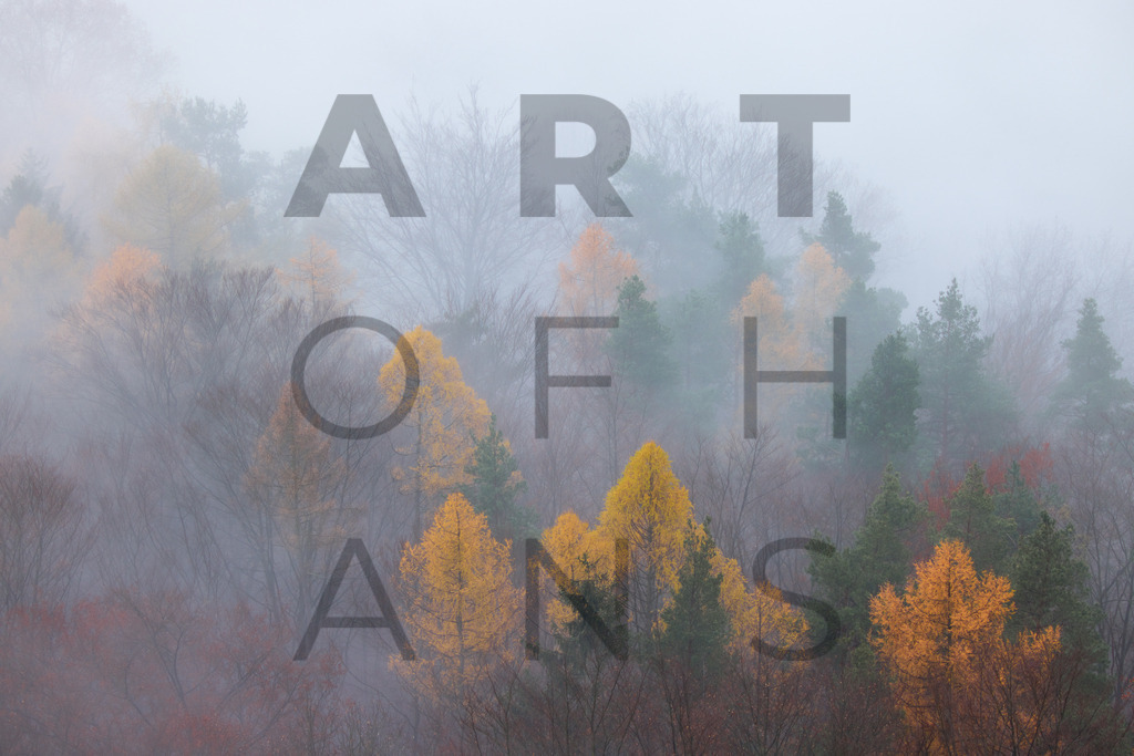 Ein Hans Fineart Original | Entdecke die Kunst von Hans Fineart - Fotografien für dein Zuhause. Verwandle deine Wände mit einzigartigen Kunstwerken und bringe die Schönheit der Welt in dein Leben. Bestelle jetzt und schaffe einen Ort der Inspiration und Eleganz.